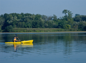 Middle_Aged_Gentleman_Kayaking_Through_a_River_or_lake