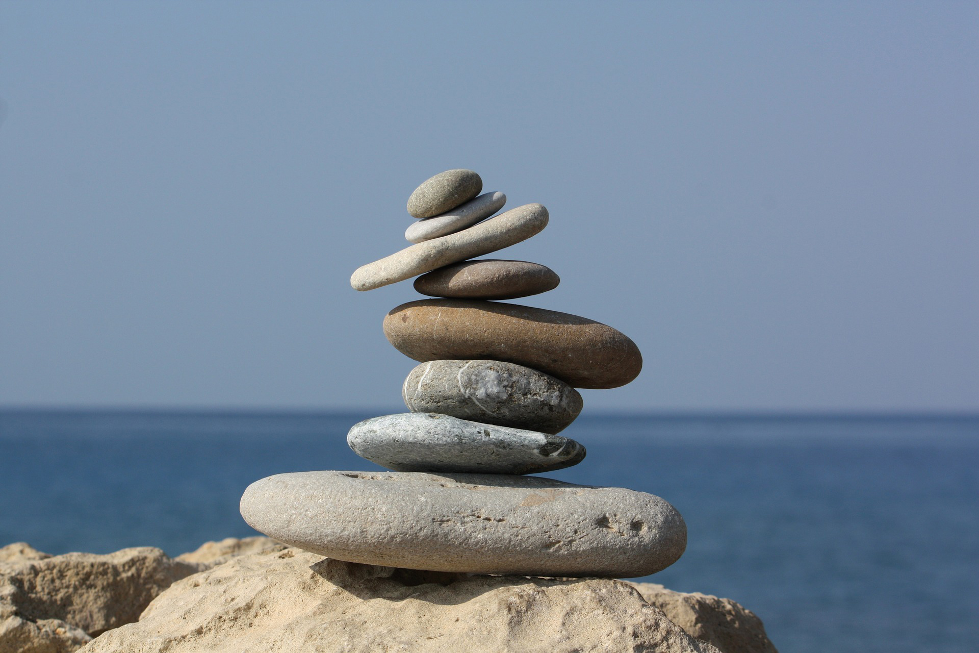 selfless_selfish_balancing_act