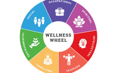 What is Whole-Person Wellness and Why Is It Important?