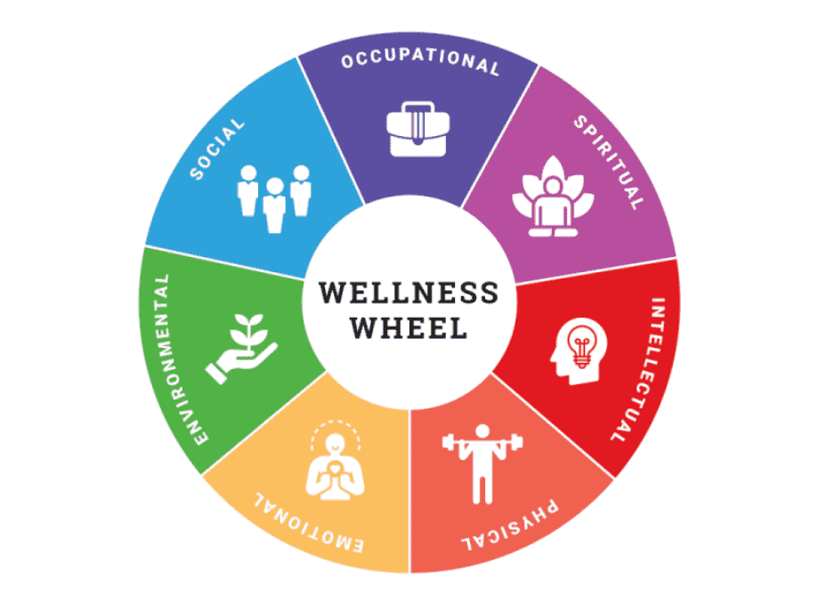 Colorful Whole Person Wellness Wheel
