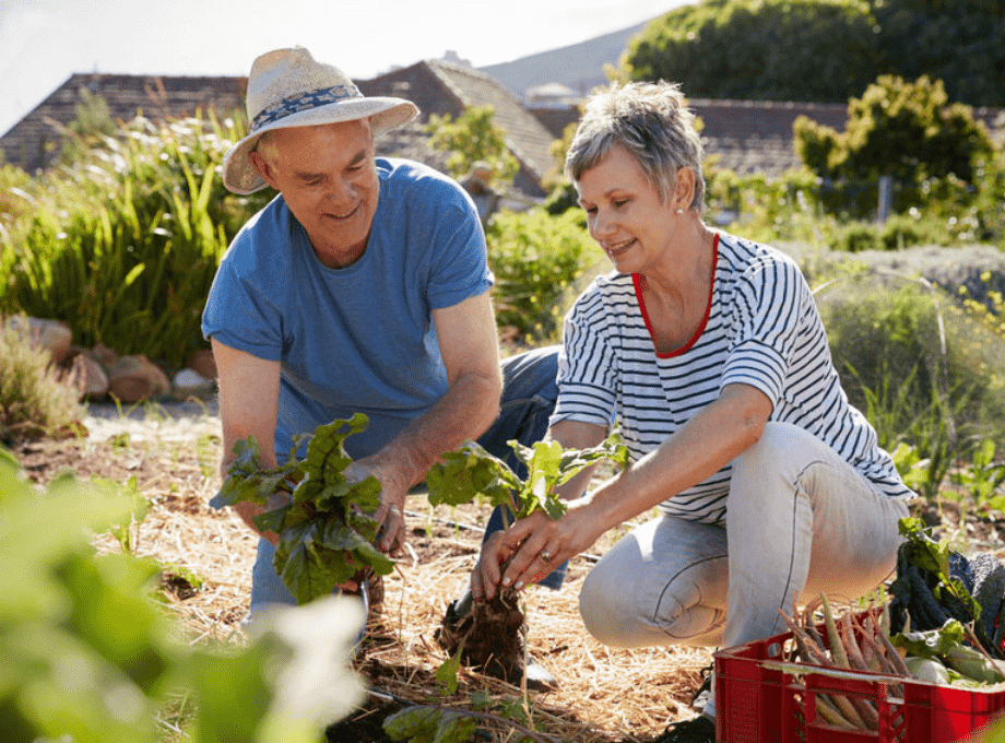 man_and_woman_husband_and_wife_gardening_squating_down_planting