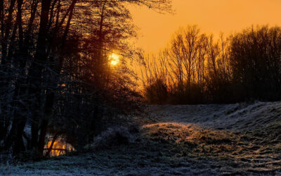 Surviving the Dark Days of Winter with Self-Care